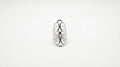 Enchanted Arabesque Statement Ring